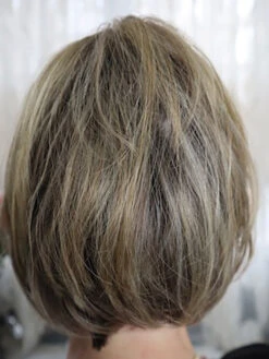 Fun By Ellen Wille | Heat-Friendly Synthetic Topper -Hair Haven Shop Funback1copy